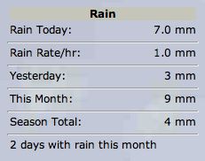rain.jpg