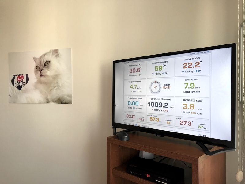 tv1.jpg