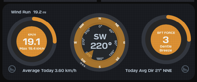 yellow2.png