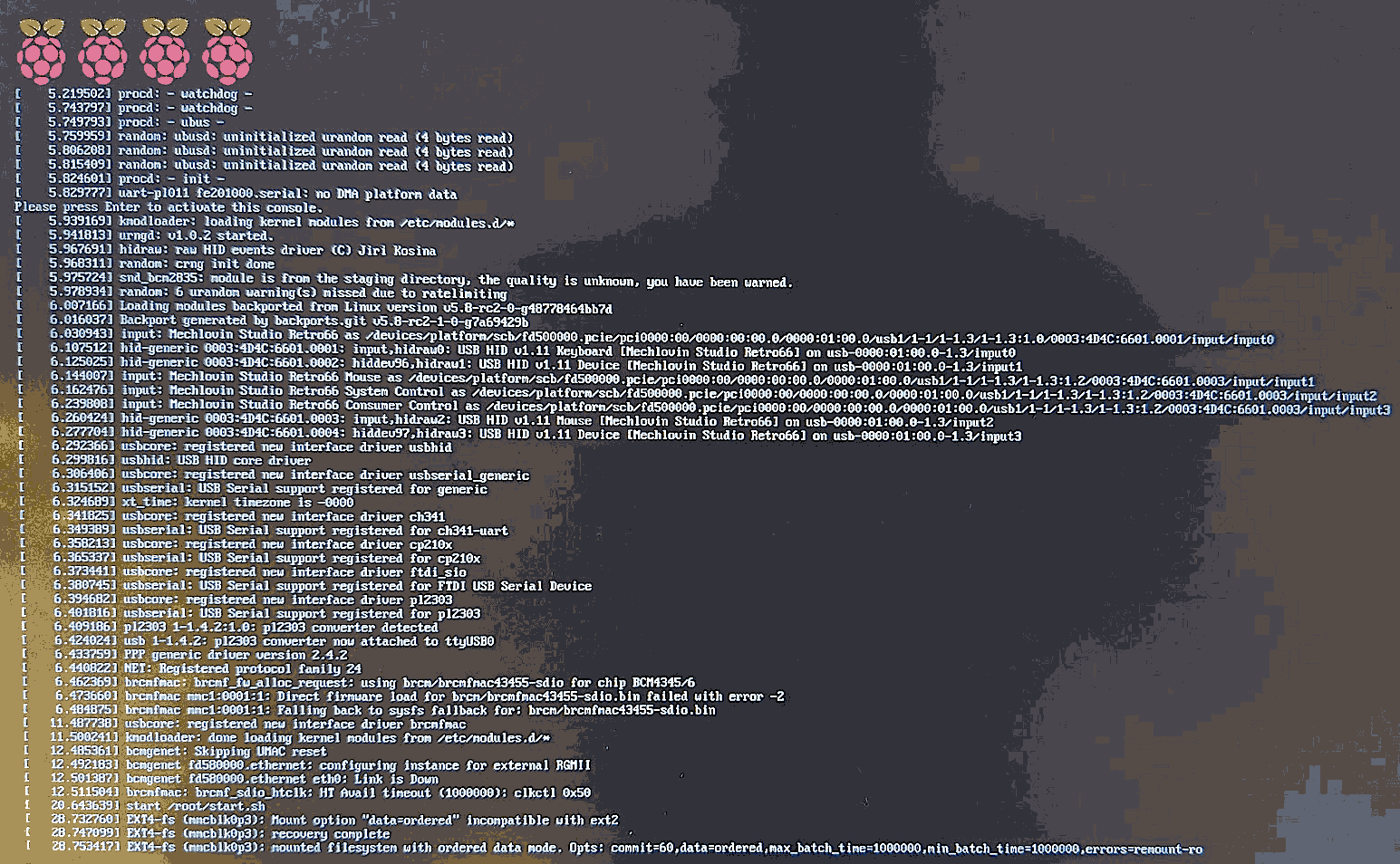 RPi_screenoutput.png