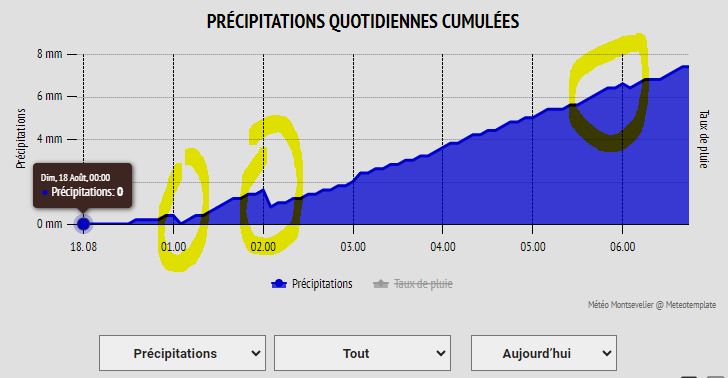 graph_meteobridge_morning